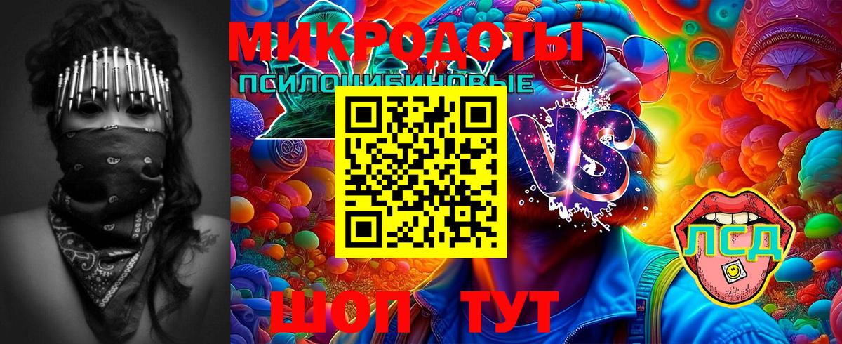 Медногорск  дарнет шоп  Вход с VPN  Псилоцибиновые грибы Psilocybe 