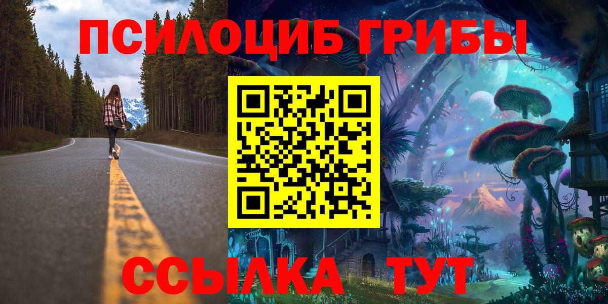 Галлюциногенные грибы Cubensis Медногорск